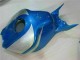 Honda CBR 1000 RR 2006-2007 - Bleu Argent Honda CBR 1000 RR 2006-2007 - Bleu Argent