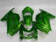 Kawasaki EX250 2008-2012 - Vert Ninja Kawasaki EX250 2008-2012 - Vert Ninja