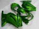 Kawasaki EX250 2008-2012 - Vert Ninja Kawasaki EX250 2008-2012 - Vert Ninja