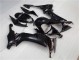 Kawasaki ZX10R 2008-2010 - Noir Brillant Kawasaki ZX10R 2008-2010 - Noir Brillant