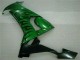 Kawasaki ZX10R 2008-2010 - Vert Flamme Kawasaki ZX10R 2008-2010 - Vert Flamme