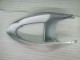 Kawasaki ZX6R 2005-2006 - Argent Noir Kawasaki ZX6R 2005-2006 - Argent Noir
