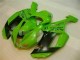 Kawasaki ZX6R 2007-2008 - Vert Noir Dunlop Kawasaki ZX6R 2007-2008 - Vert Noir Dunlop
