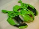 Kawasaki ZX6R 2007-2008 - Vert Noir Dunlop Kawasaki ZX6R 2007-2008 - Vert Noir Dunlop