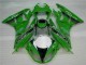 Kawasaki ZX6R 2009-2012 - Vert Noir LeoVince Kawasaki ZX6R 2009-2012 - Vert Noir LeoVince