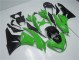 Kawasaki ZX6R 2009-2012 - Vert Noir Kawasaki ZX6R 2009-2012 - Vert Noir