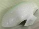 Yamaha R6 2008-2016 - Blanc Noir Yamaha R6 2008-2016 - Blanc Noir